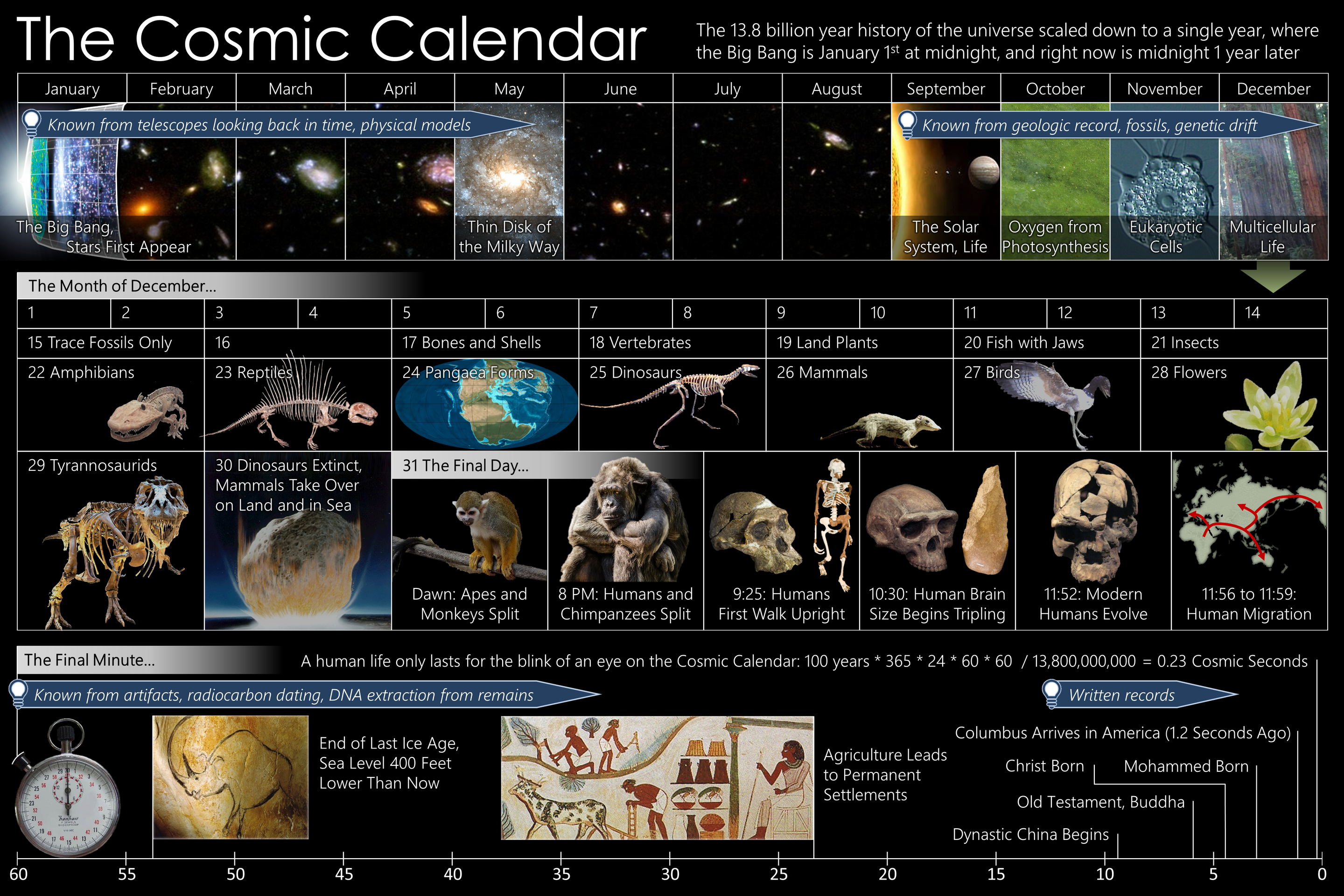 The Cosmic Calendar. Credit: By Efbrazil, CC BY-SA 3.0.